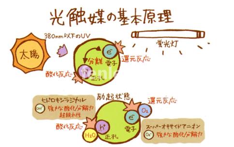 双鸭山专业保洁公司承接开荒外墙地毯家电除甲醛灭鼠等保洁业务(双鸭山保洁招聘网)