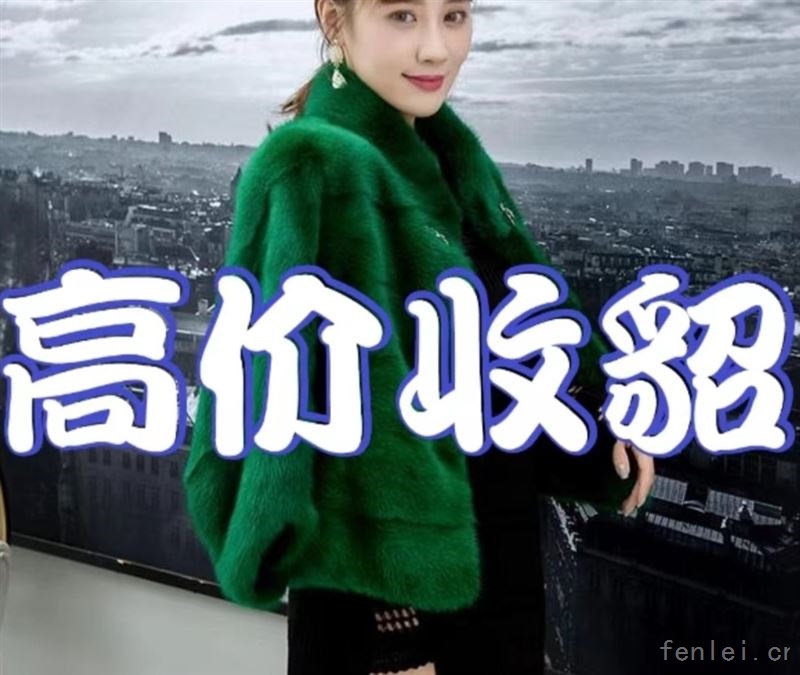 双鸭山回收貂皮#双鸭山市貂皮回收#上门收购皮草紫貂
